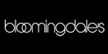 Array Logo