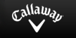 Array Logo